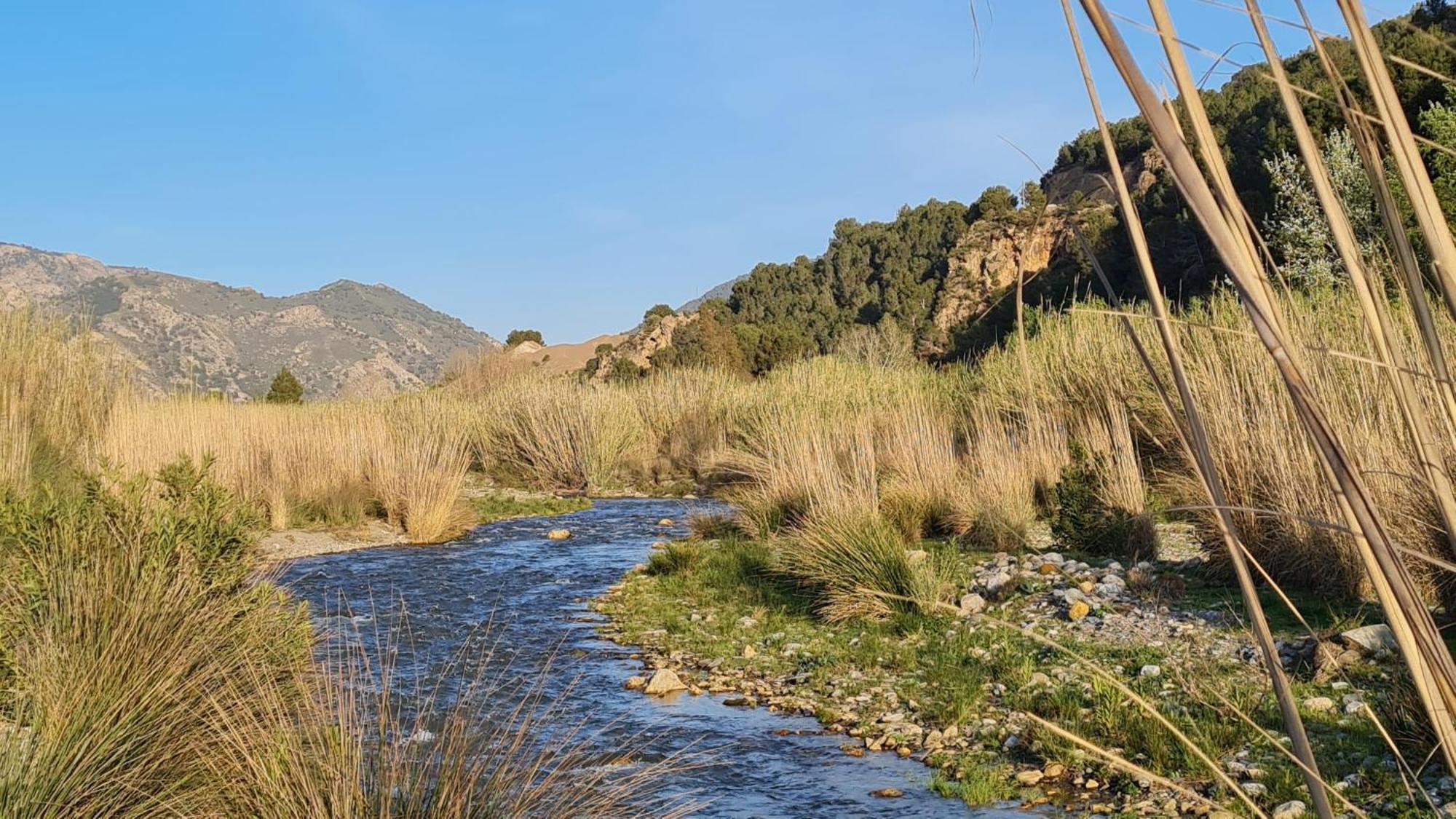 Casa Rural Cortijo El Potro Orgiva Εξωτερικό φωτογραφία